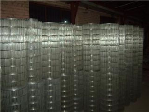 Metal Wire Mesh